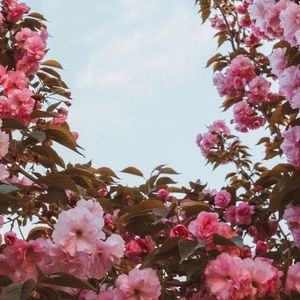 Meet your Posher, Ayda